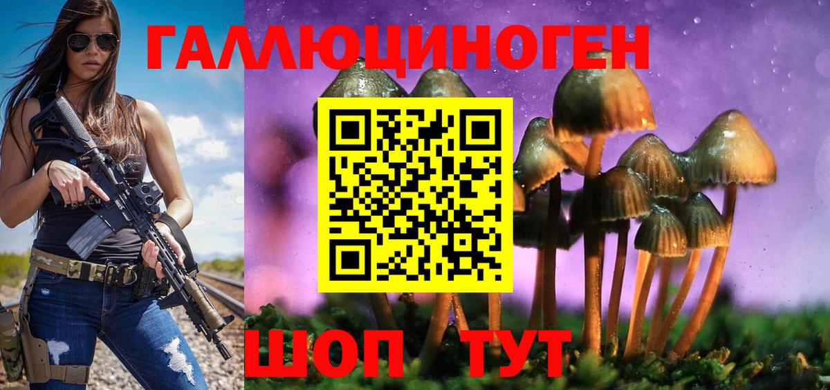 купить наркотик  Вход с VPN  Каменск-Шахтинский  Галлюциногенные грибы Psilocybe 